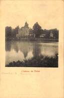 Château De Tinlot (Edit. C. Dethine) - Tinlot