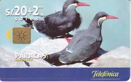 TARJETA DE PERU DE TELEFONICA 20 SOLES PARACAS TIRADA 50000 (PAJARO-BIRD) - Peru