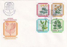 Portugal Azores FDC 1981 Cover: Fauna Flores Of Azores; Blume; Fleur - Afrique Portugaise
