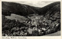 CPA AK Schramberg Panorama GERMANY (938974) - Schramberg