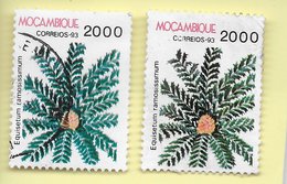 TIMBRES - STAMPS - MOZAMBIQUE / MOÇAMBIQUE (1993) - PLANTS - Equisetum Ramosissium - TIMBRES OBÇITÉRÉS - Plantas Tóxicas