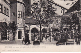 1-541 München, Münchner Hofbräuhaus (Grüsse Aus Dem) (rechts Unten Kleine Falte) - Muenchen