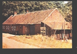 Zoersel - Het Boshuisje, Het Huis Van Hendrik Conscience - VéGé Chromo Ca 10 X 7 Cm / Geen Postkaart - Zoersel