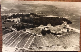 Cpsm, Weingut Schloss Johannisberg Im Rheingau, Besitzer Fürst Von Metternich, Domaine Viticole,(Vin, Cépage Riesling), - Rheingau