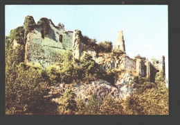 Falaën - Les Ruines De Montaigle - Chromo Végé - Ca 10 X 7 Cm / Pas De Carte Postale - Onhaye