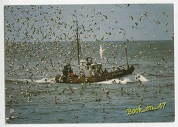 {61298} Retour De Pêche à La Sardine En Bretagne - Pêche