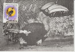 Inde 1983 Carte Maximum Oiseaux Calao 772 - Lettres & Documents
