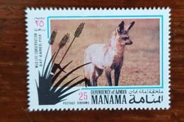 MANAMA, Canidés, Canidé, Fennec Hyene, 1 Valeur Neuve. MNH, ** - Autres & Non Classés