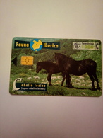 Télécarte D' Espagne : Chevaux - Pferde