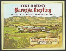 WINE ORLANDO - LABEL 12,5 X 9,5 Cm (see Sales Conditions) - Riesling