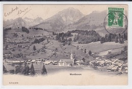 Montbovon, Vue Générale - Montbovon