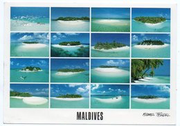 MALDIVES-HOTEL ISLANDS (PHOTO MICHAEL FRIEDEL No.23/219) / THEMATIC STAMP SHELL - Maldives