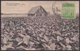 TMA-606 TMA-606 CUBA 1946 TCV MAXIM CARD 1c MANICARAGUA CANCEL TOBACCO PLANTATION. PLANTACION Y CASA DE TABACO. - Cartes-maximum