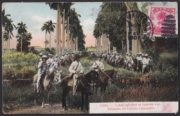 TMA-608 CUBA 1909 TCV MAXIM CARD 2c ROYAL PALM & MAMBI ARMY. EJERCITO LIBERTADOR EN UN PALMAR. - Cartes-maximum