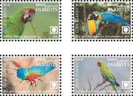 Cook 2019, Parrots, 4val - Perroquets & Tropicaux