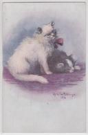 Ophelia Billinge Artist Artiste Illustrateur Chats De Perse Chat à Ruban Persian Cats - Cats