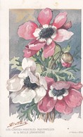 Illust. J.C. OTTAVE (?) Fleurs : ANEMONES + Pub Les Cartes Postales Aquarelles De LA BELLE JARDINIERE - Autres & Non Classés