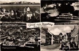 CPA AK Neuburg- Souvenir GERMANY (943811) - Neuburg