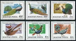 1977	Hungary	3185-3190	Peafowl And Pheasants - Pauwen