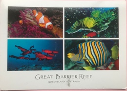 (2757) Great Barrier Reef - Queensland - Great Barrier Reef
