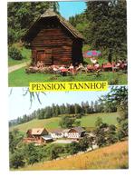 Österreich - A-8670 Krieglach - Pension Tannhof - Steiermark - Krieglach