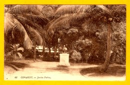 Conakry  Jardin Public  Edt  LL  N°  41 - Guinée Française