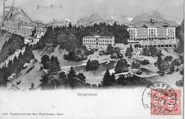 BÜRGENSTOCK → Die Hotel-Anlagen Anno 1907 - Autres & Non Classés