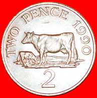 + COW (1985-1990): GUERNSEY ★ 2 PENCE 1990! LOW START ★ NO RESERVE! - Guernsey