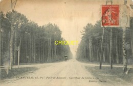 76 Canteleu, Carrefour Du Chêne à Leu, Calèche..., Carte Pas Très Courante Affranchie 1911 - Canteleu