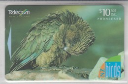 NEW ZEALAND 1996 BIRD PARROT KEA - Pappagalli