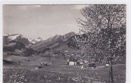 Les Sciernes D'Albeuve,vue Générale - Albeuve