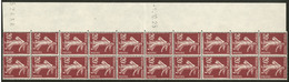 ** No 13, Panneau Vertical De 20 Ex N°139, Bdf Avec Date 1.10.25 Et N°52438 à Gauche. - TB. - R - Coil Stamps