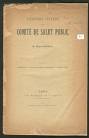 Comité De Salut Public, Par A. Mathiez, éd. Bureaux De La Revue 1914, Broché. - TB - Autres & Non Classés