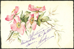 Lettre Illustrations à La Main. Fleurs, CP Aquarelle Et Plume, Signée "Niny/6/1901", Voyagé Afft 111. - TB - Zonder Classificatie