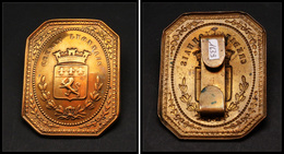 Plaque De Facteur. Plaque En Cuivre "Courrier D'Entreprise Crédit Lyonnais" Avec Armoiries, 74x97mm. - TB - Boites A Timbres