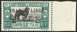 ** Taxe. France-Libre. No 54, Bdf, Très Frais. - TB. - R - Other & Unclassified