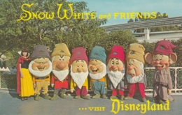 Disneyland Anaheim California - Snow White And Friends , 7 Dwarfs - Disneyland