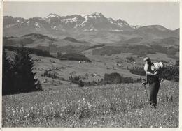 TEUFEN - SPEICHER → Am Höhenweg Gegen Den Alpstein Gesehen Anno 1945 - Speicher