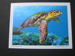 AUSTRALIA Postmark Collection Shet Of 4 TURTLES.. - Marcofilia