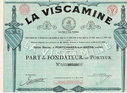 Titre Ancien - La Viscamine - Société Anonyme Pour La Fabrication De La Soie Artificielle -  Titre De 1930 - - Textile
