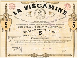 Titre Ancien - La Viscamine - Société Anonyme Pour La Fabrication De La Soie Artificielle -  Titre De 1929 - - Textile