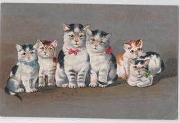 Happy Kittens Cpa Chaton Et Chat Illustrateur Misch Home Pets Series 326 - Katten