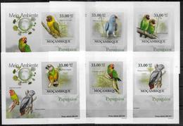 MOZAMBIQUE  BF  De Luxe  N° 2914/19  * *   NON DENTELE Oiseaux Perroquets - Perroquets & Tropicaux