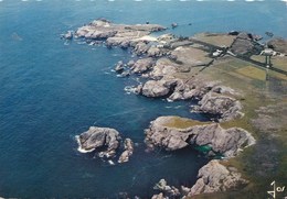 BELLE ILE EN MER LA POINTE DES POULAINS (dil435) - Belle Ile En Mer