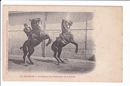 54 - SAUMUR - Dressage Des Sauteurs En Tendem  (école De Cavalerie) - Saumur