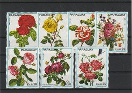 ROSES   PARAGUAY  SERIE 7 VALEURS - Rosen