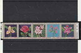 ROSES   NICARAGUA  BANDE COMPLETE  5 VALLEURS - Rosen