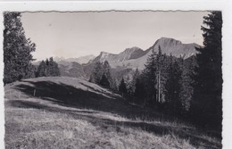 Les Sciernes D'Albeuve, Dent De Lys à La Cape Au Moine - Albeuve