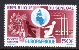 SENEGAL  - 1964 EUROPA AFRIQUE 50F STAMP FINE MNH ** SG282 - Senegal (1960-...)