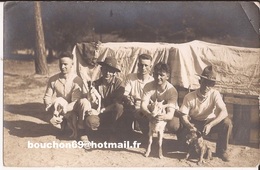 Militaria Armée - Scouts Ou Militaires Chevre Goat - Guerre 1914-18